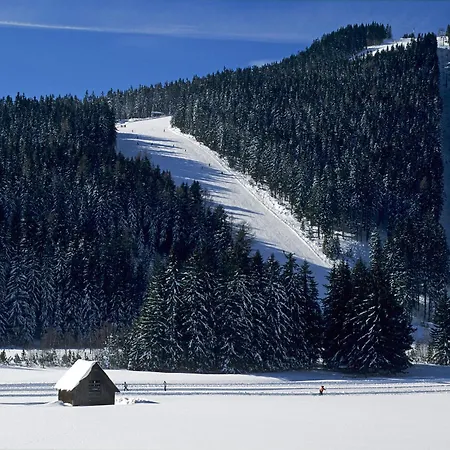 Haus Hermine * Ramsau am Dachstein